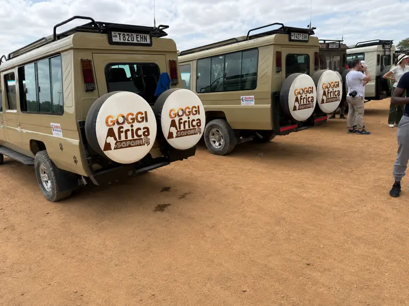 Goggi Africa Safari Land Cruisers lined up for the day's game drive