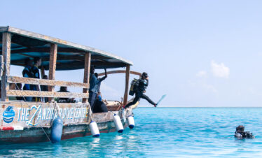 11 Days Tanzania Safari & Zanzibar Experience