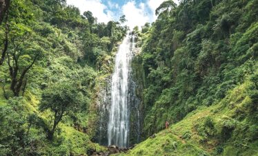 Day Trip Materuni Waterfalls & Coffee Tour