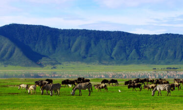 2-Day Tanzania Safari from Zanzibar – Tarangire & Ngorongoro (2 Days / 1 Night)
