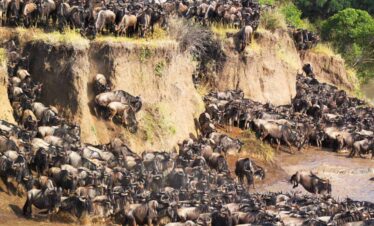 7 Days Serengeti Great Wildebeest Migration Safari (7day-6night)