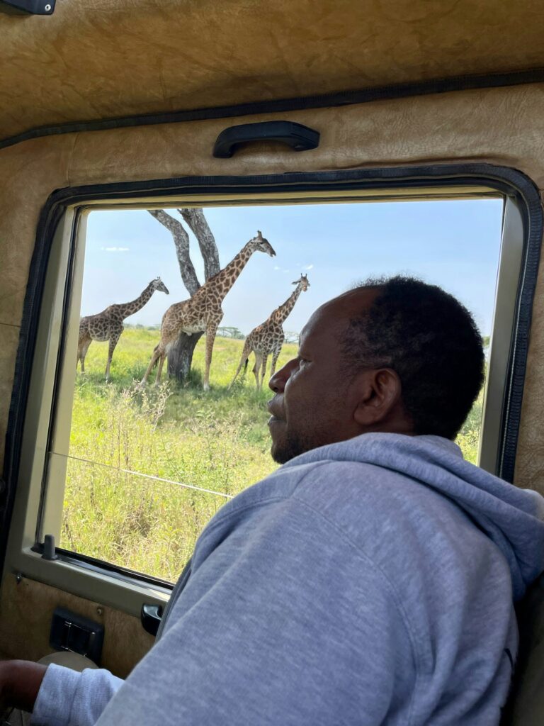 Watching giraffes from a safari vehicle in the Serengeti