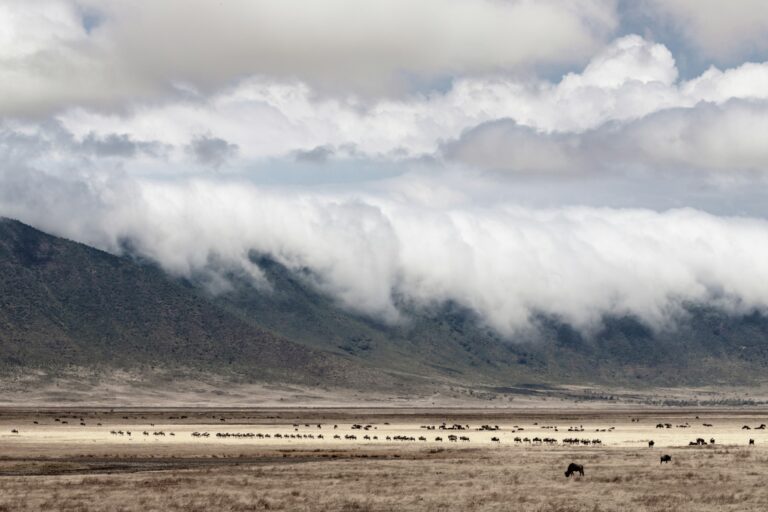 Clouds drifting over green highlands