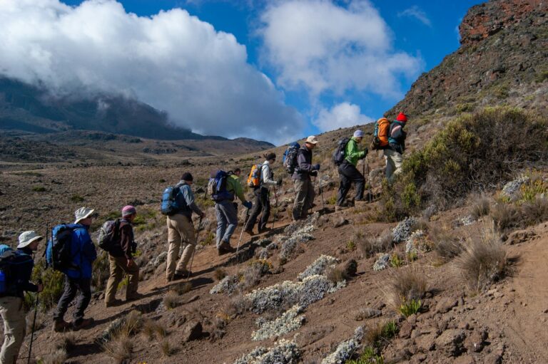 Hikers walking slowly on a Kilimanjaro route