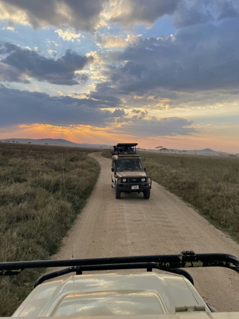 Safari vehicle on a Serengeti track at sunset