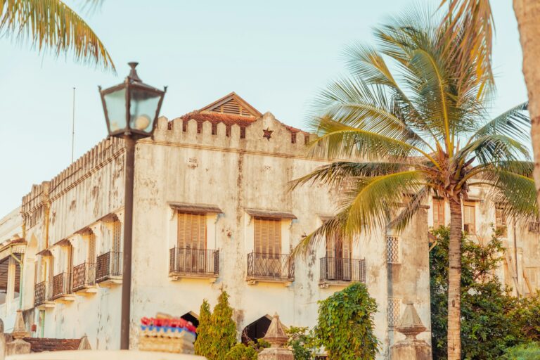 Historic Stone Town building with a palm tree