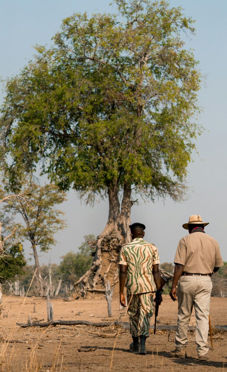 Local guides leading a walking safari through dry grass