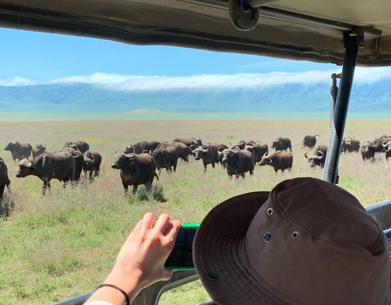 Ngorongoro Crater Day Trip